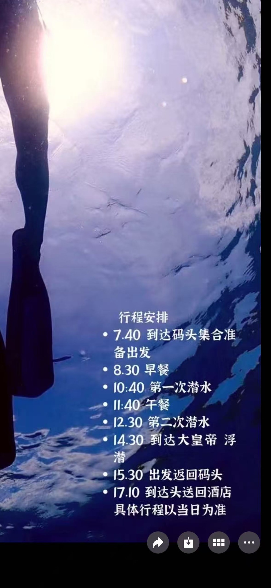 普吉岛潜水行程水下画面